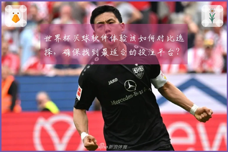 世界杯买球软件体验该如何对比选择,确保找到最适合的投注平台?