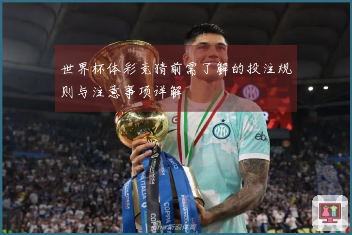 世界杯体彩竞猜前需了解的投注规则与注意事项详解
