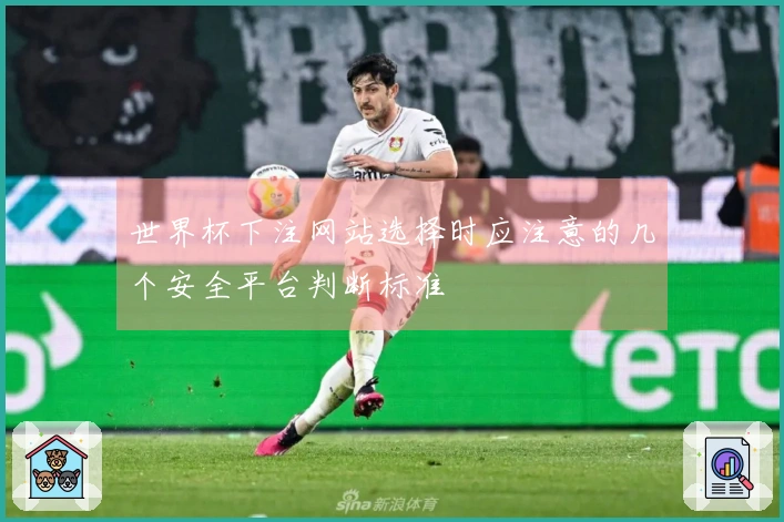 世界杯下注网站选择时应注意的几个安全平台判断标准
