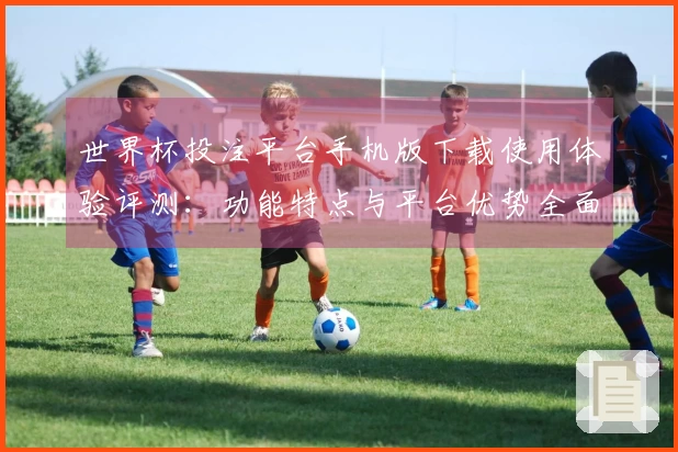 世界杯投注平台手机版下载使用体验评测：功能特点与平台优势全面分析