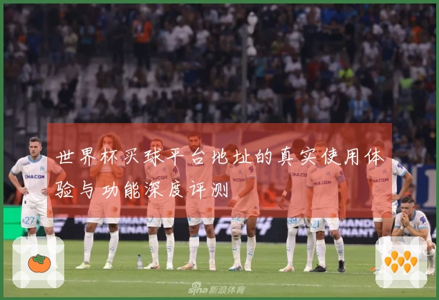 世界杯买球平台地址的真实使用体验与功能深度评测