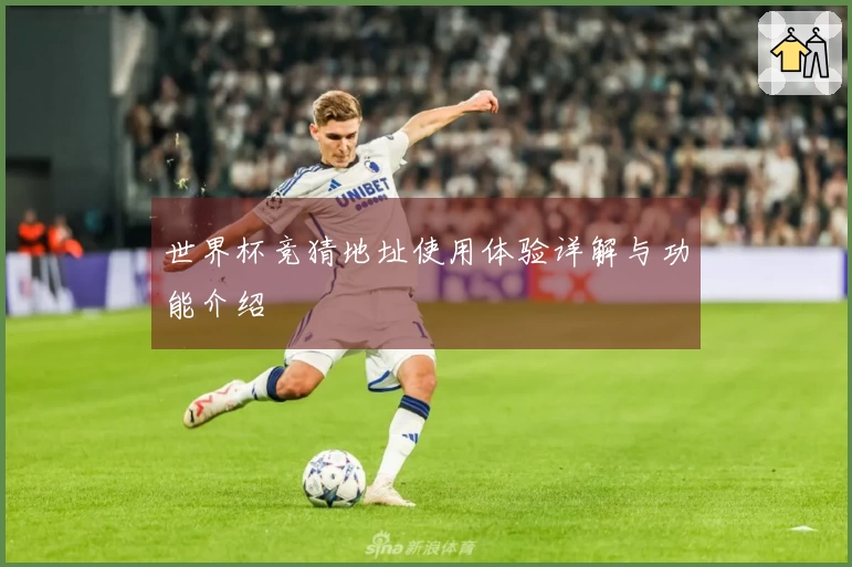 世界杯竞猜地址使用体验详解与功能介绍