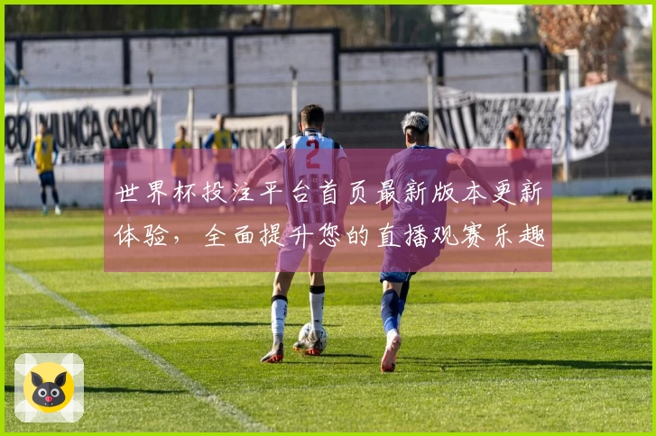 世界杯投注平台首页最新版本更新体验，全面提升您的直播观赛乐趣
