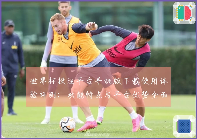 世界杯投注平台手机版下载使用体验评测：功能特点与平台优势全面分析