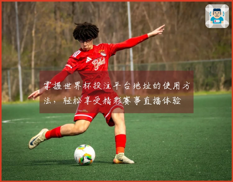 掌握世界杯投注平台地址的使用方法，轻松享受精彩赛事直播体验