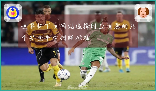 世界杯下注网站选择时应注意的几个安全平台判断标准