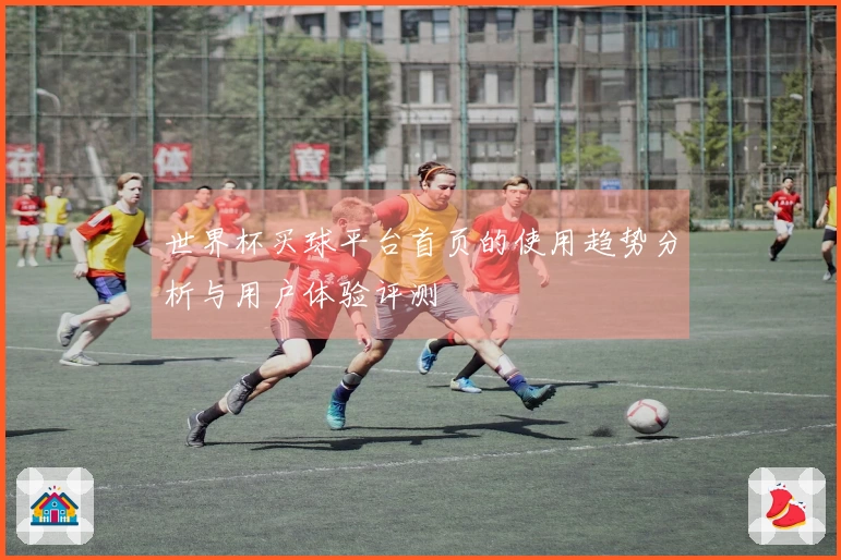 世界杯买球平台首页的使用趋势分析与用户体验评测