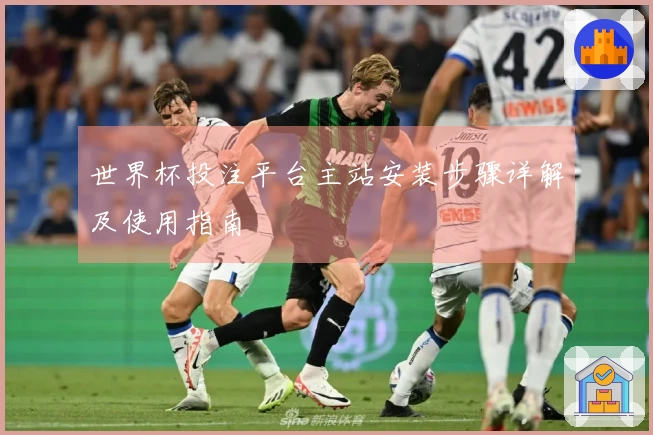 世界杯投注平台主站安装步骤详解及使用指南