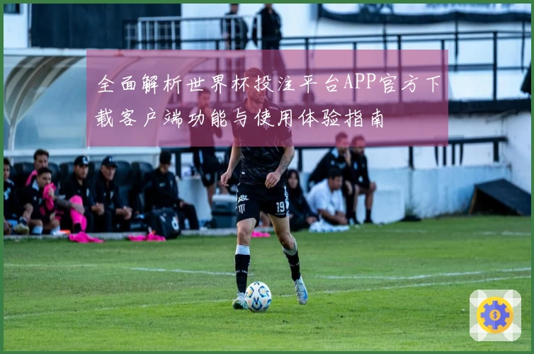 全面解析世界杯投注平台APP官方下载客户端功能与使用体验指南