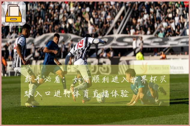 新手必看：如何顺利进入世界杯买球入口进行体育直播体验
