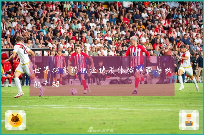 世界杯竞猜地址使用体验详解与功能介绍