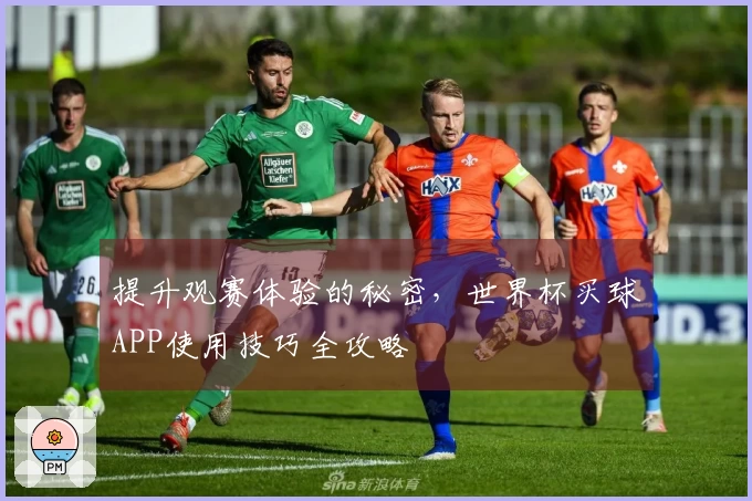 提升观赛体验的秘密，世界杯买球APP使用技巧全攻略