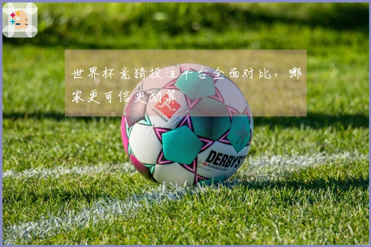 世界杯竞猜投注平台全面对比,哪家更可信更划算