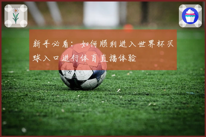 新手必看：如何顺利进入世界杯买球入口进行体育直播体验