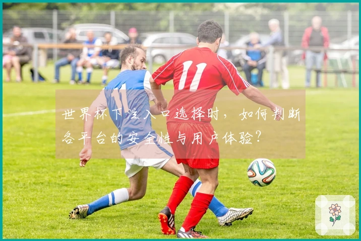 世界杯下注入口选择时，如何判断各平台的安全性与用户体验？