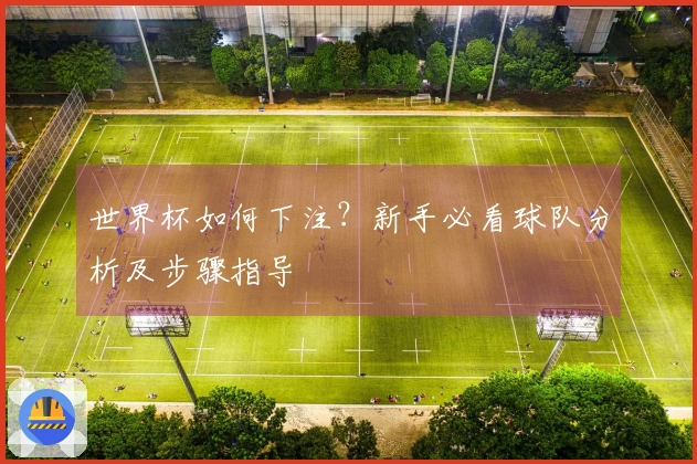 世界杯如何下注？新手必看球队分析及步骤指导