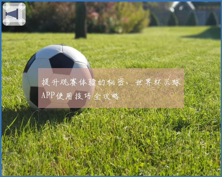 提升观赛体验的秘密，世界杯买球APP使用技巧全攻略