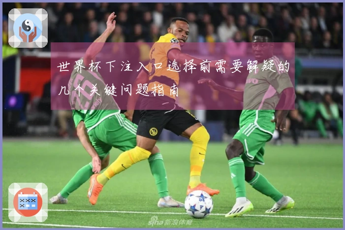 世界杯下注入口选择前需要解疑的几个关键问题指南